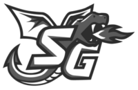 SG Handball